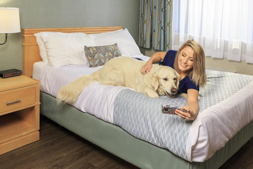 Accent Inns Kamloops Bagian luar foto