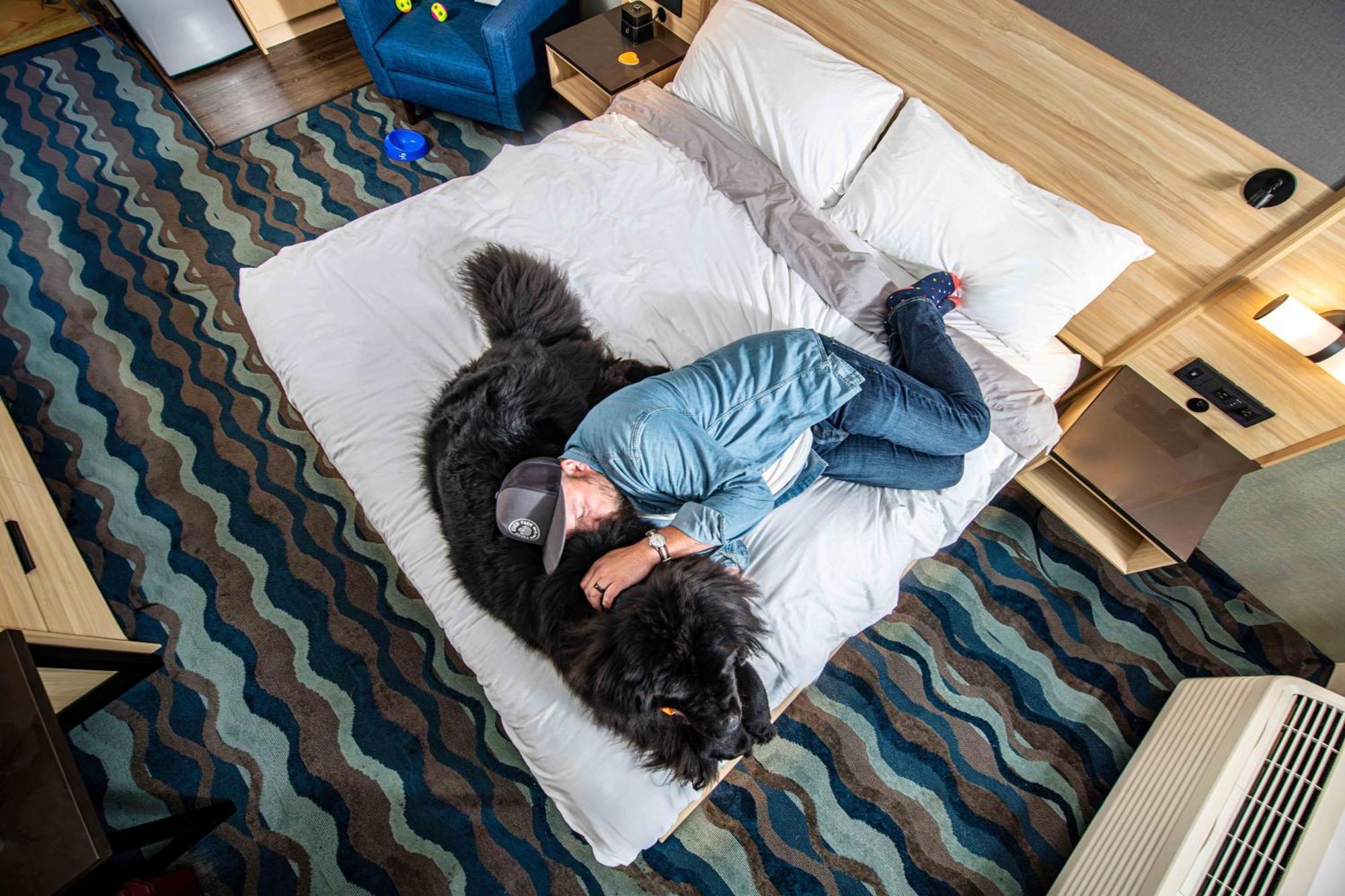 Accent Inns Kamloops Bagian luar foto