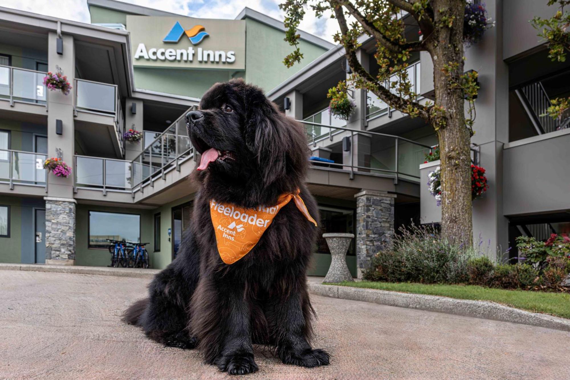 Accent Inns Kamloops Bagian luar foto